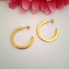 Aros Argollas Planas
